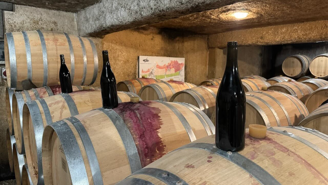 Autumn tasting in Burgundy