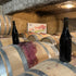 Autumn tasting in Burgundy