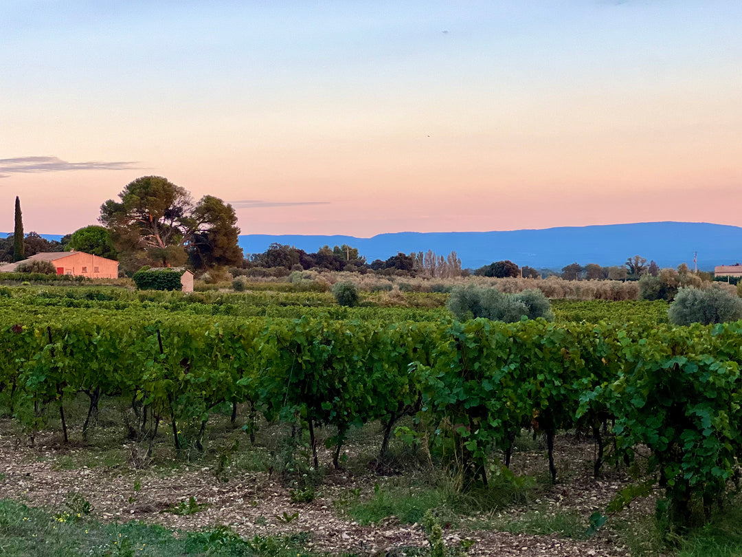 Tradiční zářijový výlet do Provence: Chateau Juvenal a Domaine de la Citadelle