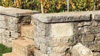 Kamenná zídka ohraničující vinici v Burgundsku