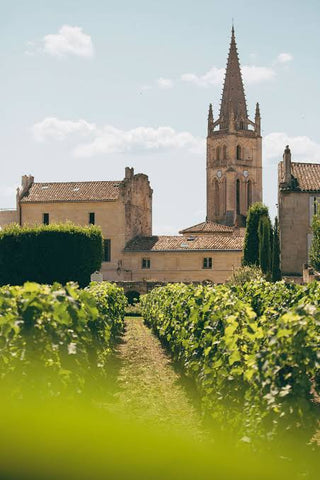 Vinice Chateau Canon v Bordeaux