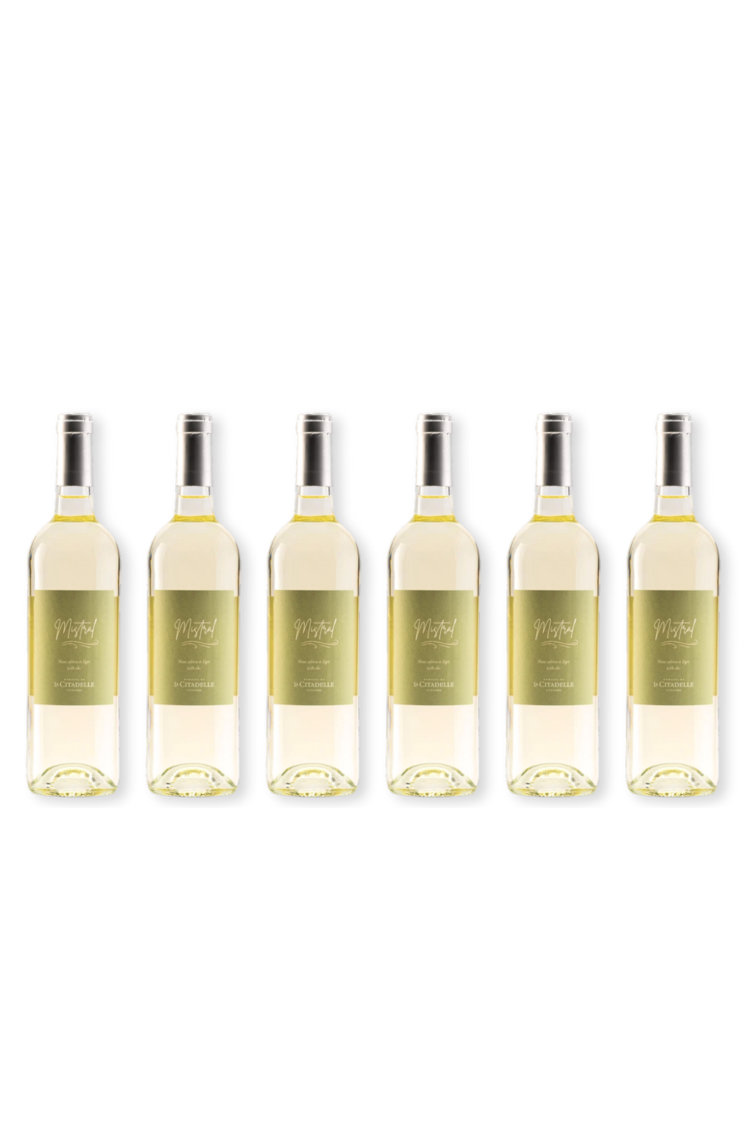 Letní karton Mistral Blanc 2025