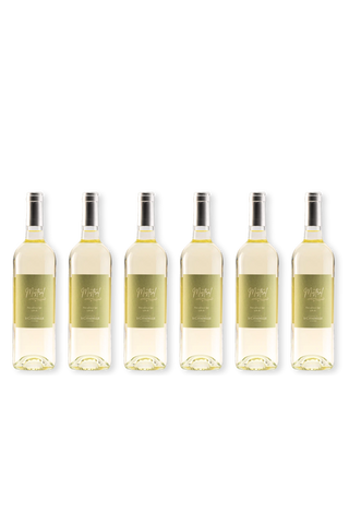 Letní karton Mistral Blanc 2025